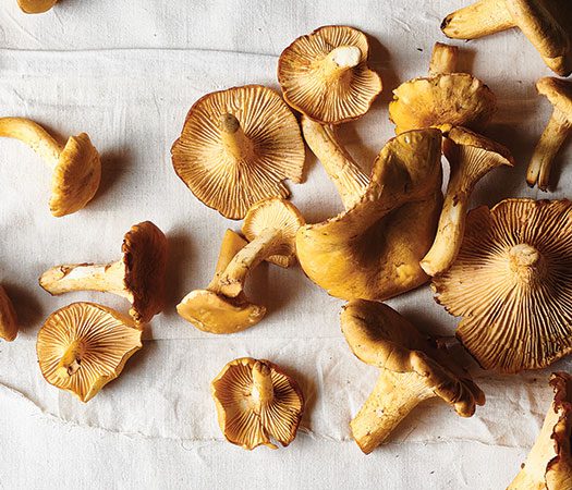 Chanterelles