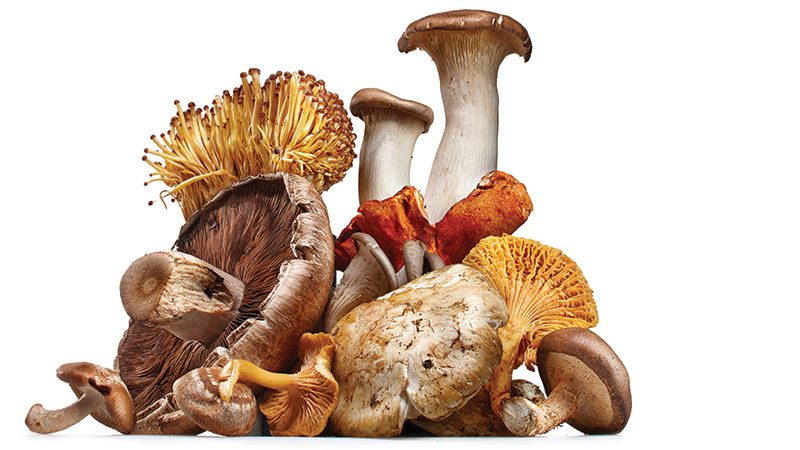 The wide, wonderful world of mushrooms:  A flavor-focused guide