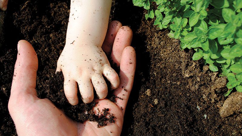 Decades of supporting organic agriculture