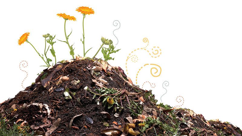 Cedar Grove turns food and yard waste to garden gold