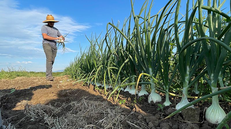 Viva Farms brings the future of farming to PCC