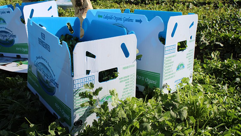 How a 135-year-old Seattle company made produce boxes better