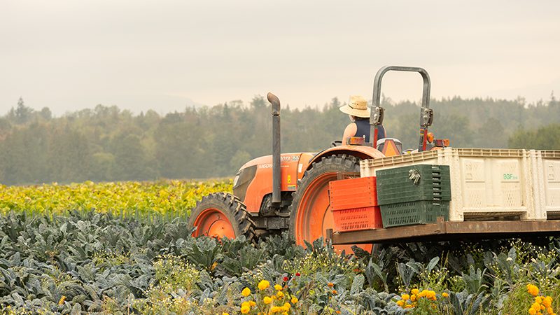 Tilth Alliance awards organic agriculture grants
