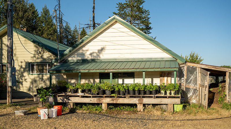 Hop Frog Farms House