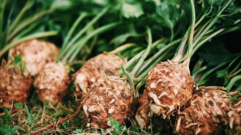 How to Cook With Misunderstood Vegetables