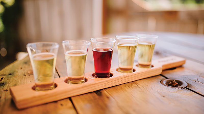 cider-flight