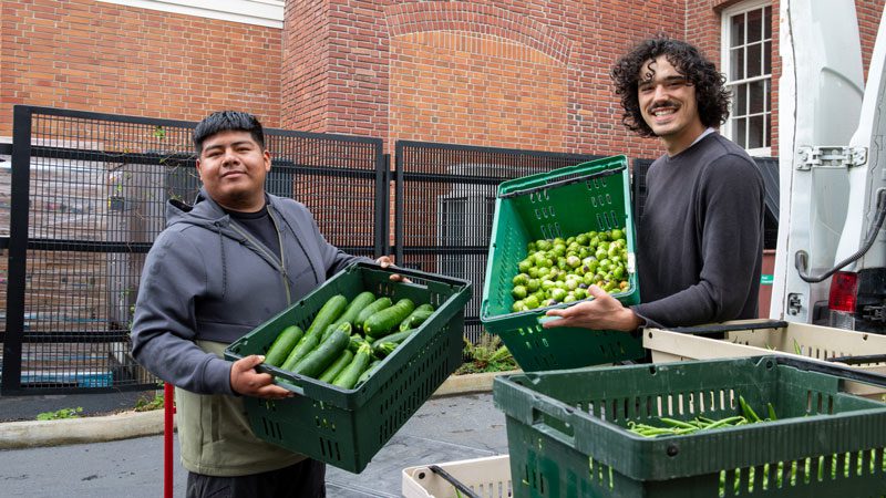Regino Farms and Growing for Good working together to bring fresh produce to food banks.