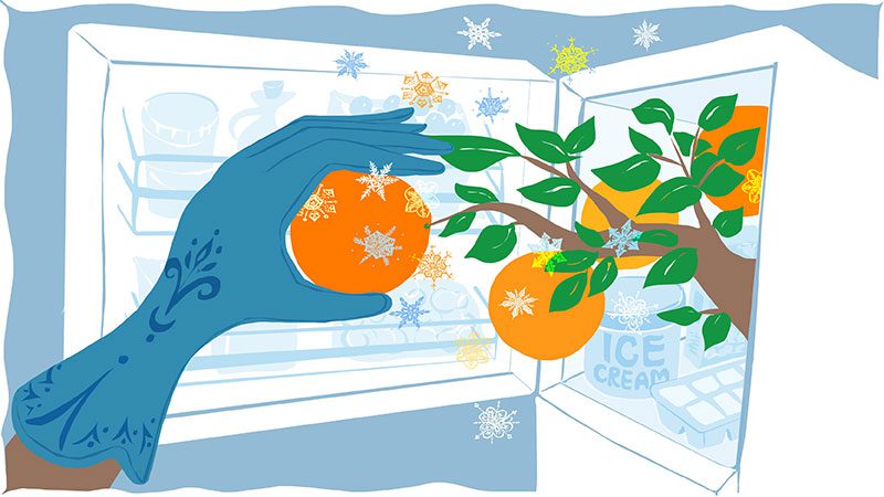 How the freezer became my superpower