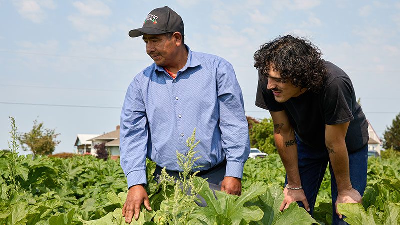 Regino Farms