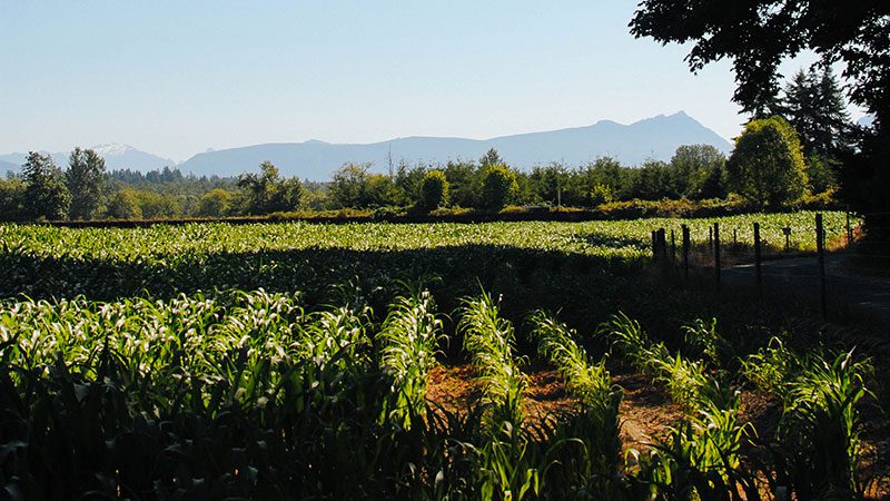 A milestone year for Washington Farmland Trust