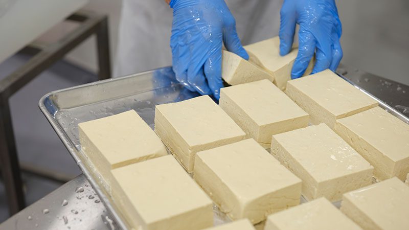 raw tofu bricks