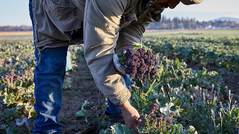 Learn about PCC in the 2024 Co-op Purpose Report