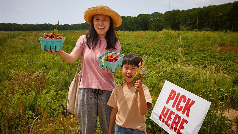 Making the most of U-Pick farm visits