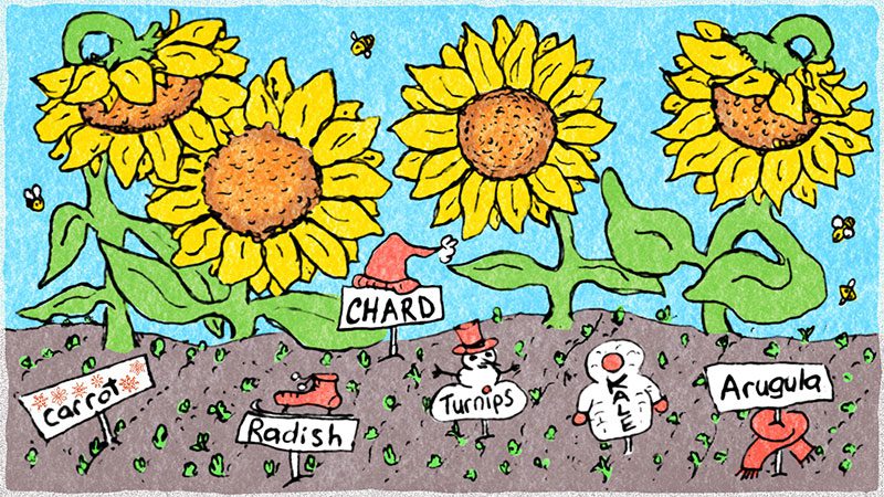 Wendy Wahman Illustration