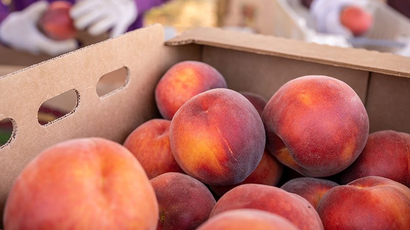 La Pierre Peaches