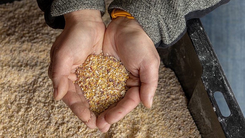 Grain milling