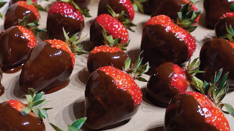 Chocolate Dipped Strawberries